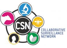 csn logo